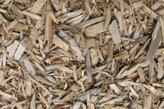 biomass boilers Cokenach
