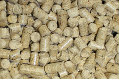 Cokenach biomass boiler costs