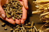 free Cokenach biomass boiler quotes